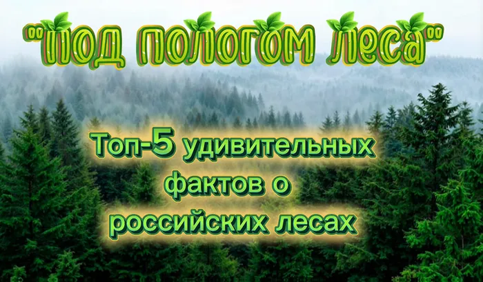 2026-09-10_21-49-04